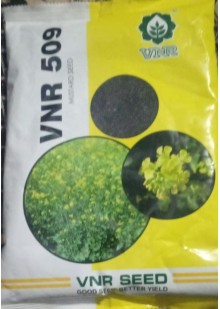VNR 509 Mustard 